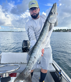 Hook Great Barracuda, line, and sinker in paradise